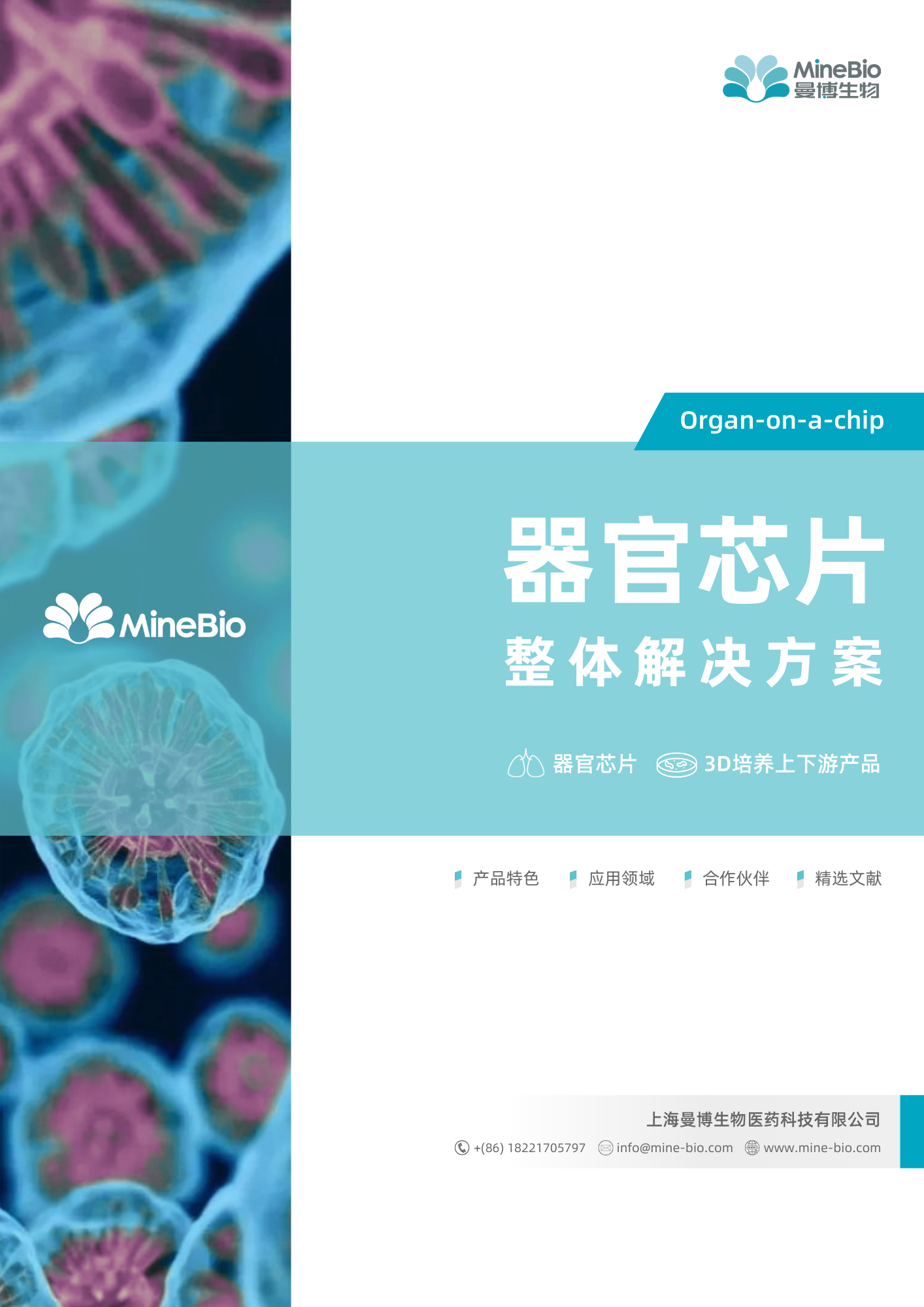 器官芯片整体解决方案