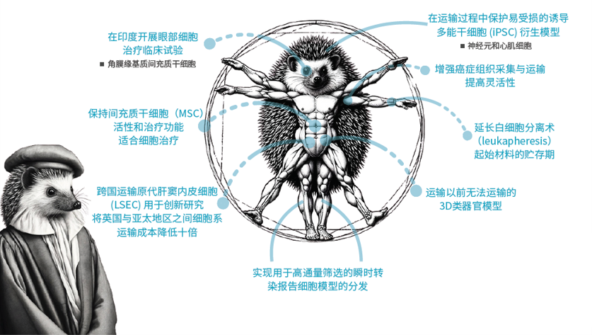 Atelerix产品应用部分成功案例