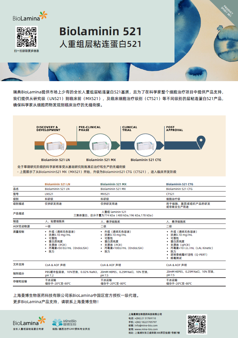 Biolaminin人重组层粘连蛋白521