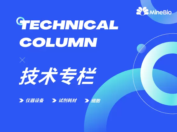 技术专栏