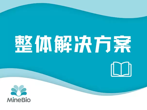 整体解决方案