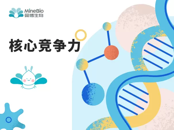 核心竞争力