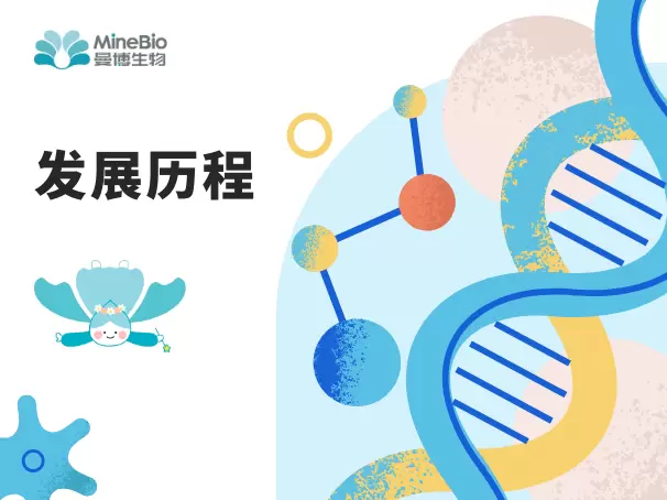 发展历程
