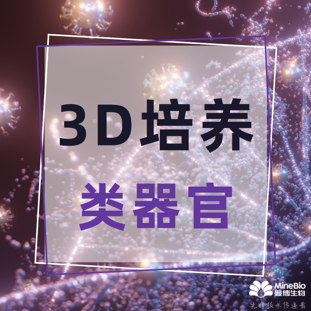 3D培养/类器官