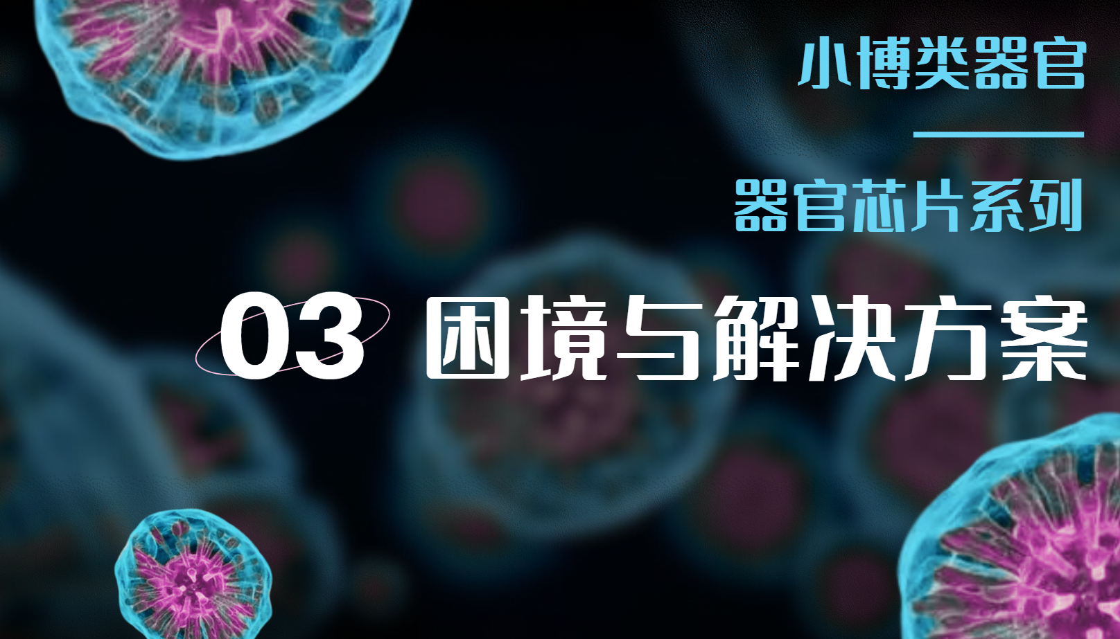 类器官系列分享第三期：器官芯片的发展困境及解决方案