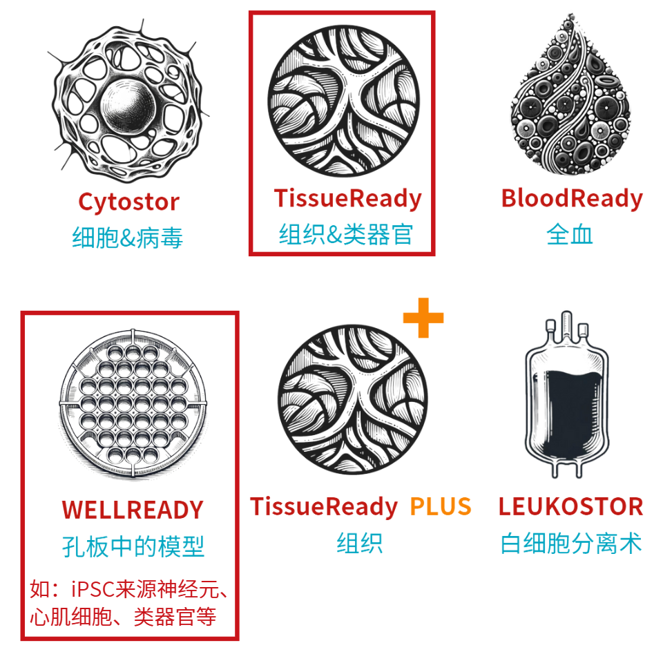 Atelerix类器官保存和运输凝胶