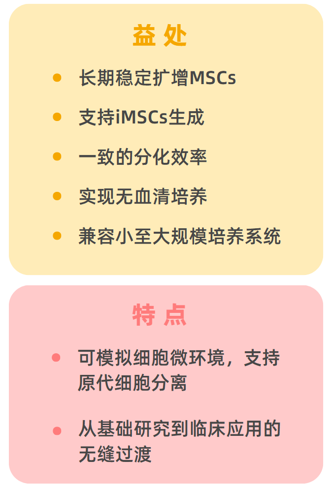 Biolaminin521培养MSCs优势总结