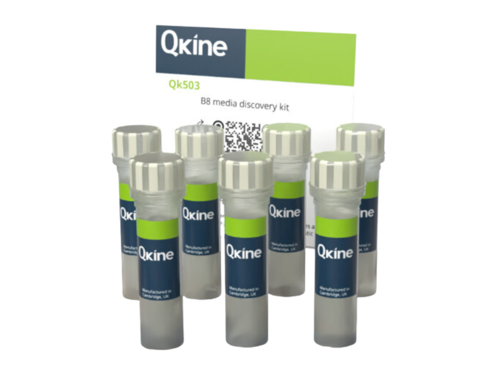 QKine B8培养基开发试剂盒（Qk503）