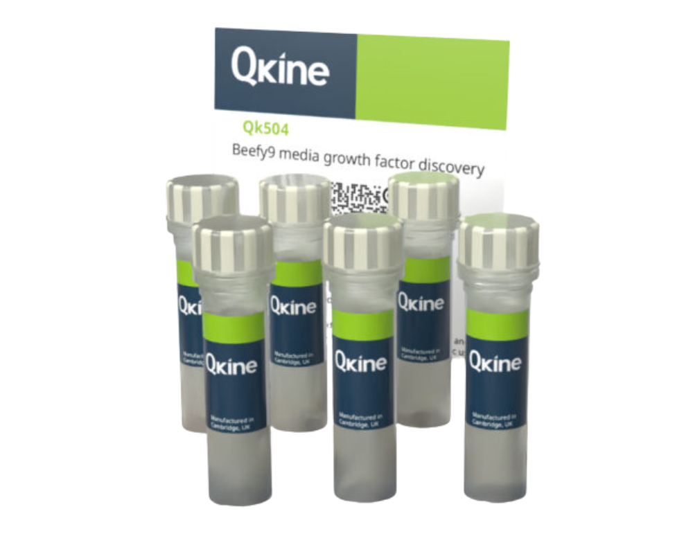 QKine Beefy-9试剂盒（Qk504）