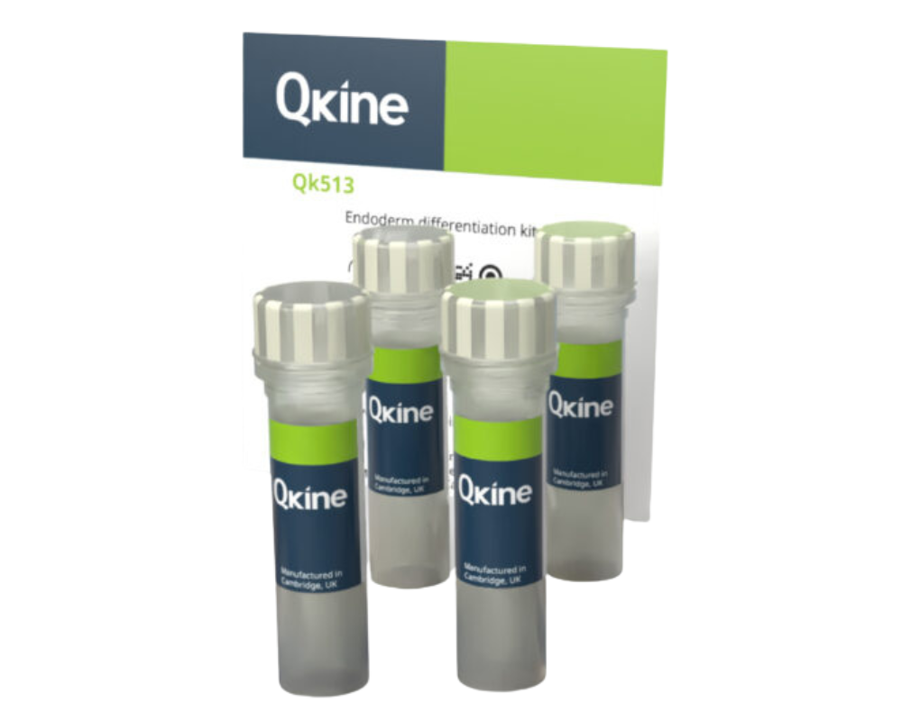 QKine 内胚层分化试剂盒（Qk513）
