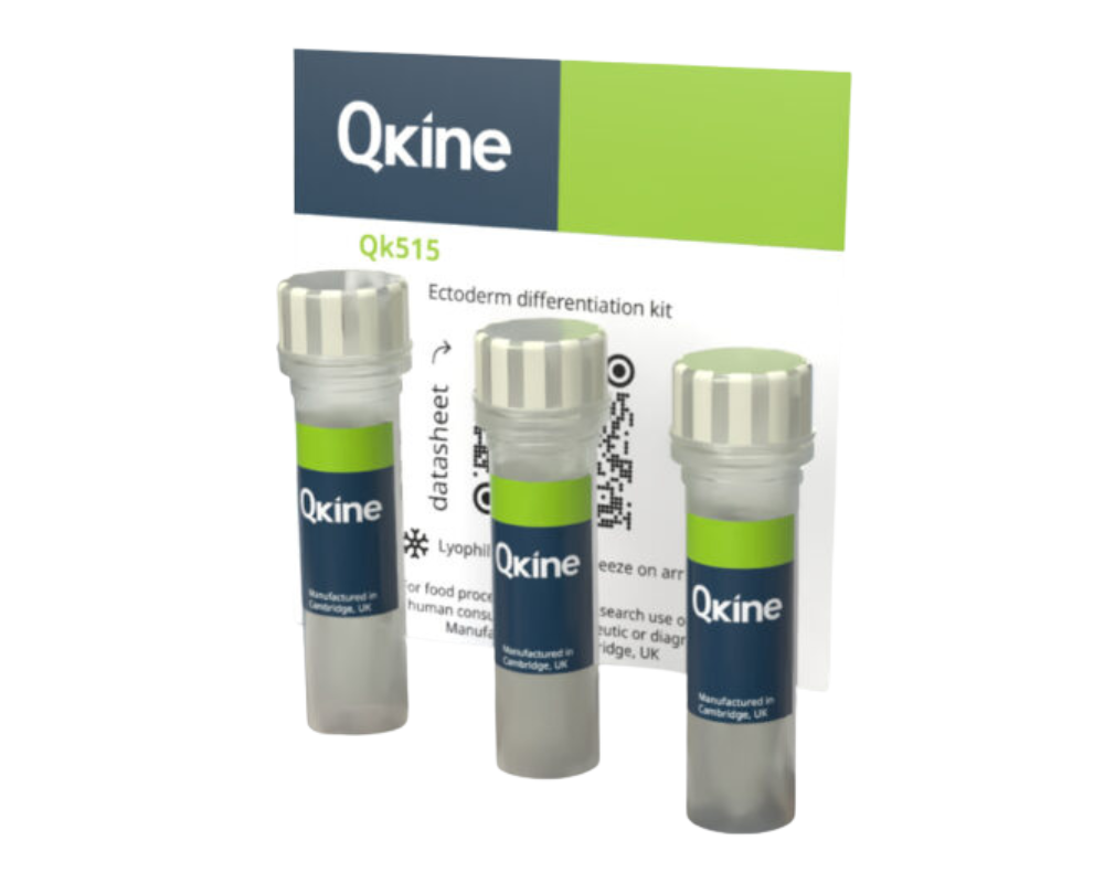 QKine 耐热FGF-2发现试剂盒（Qk515）