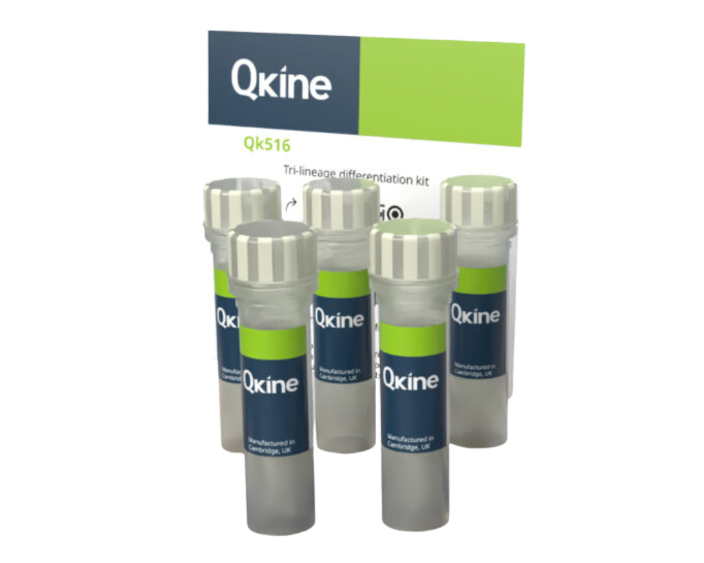 QKine 三系分化试剂盒（Qk516）