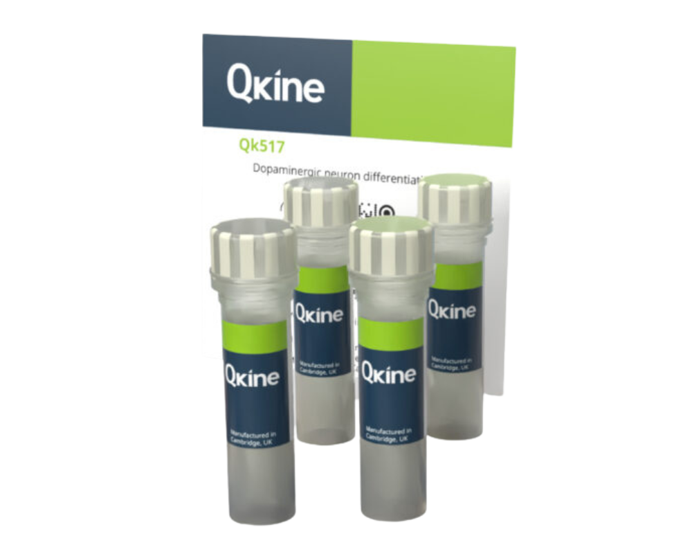 QKine 多巴胺能神经元分化试剂盒（Qk517）