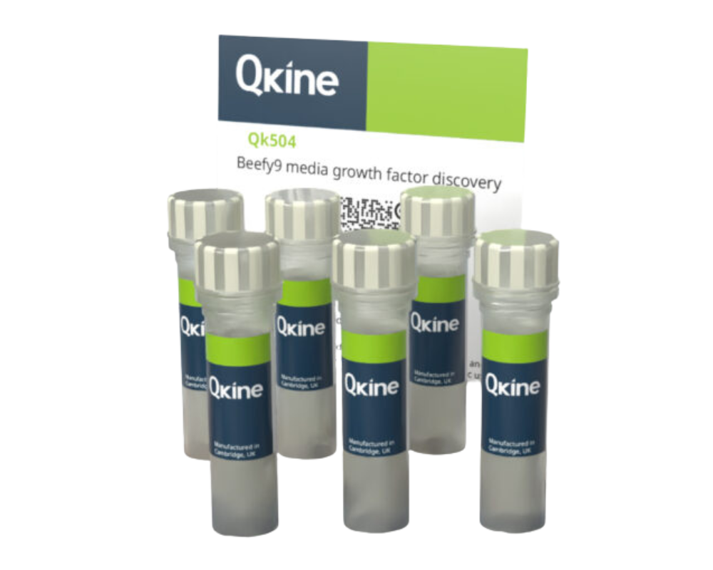 QKine Beefy-9试剂盒（Qk504）