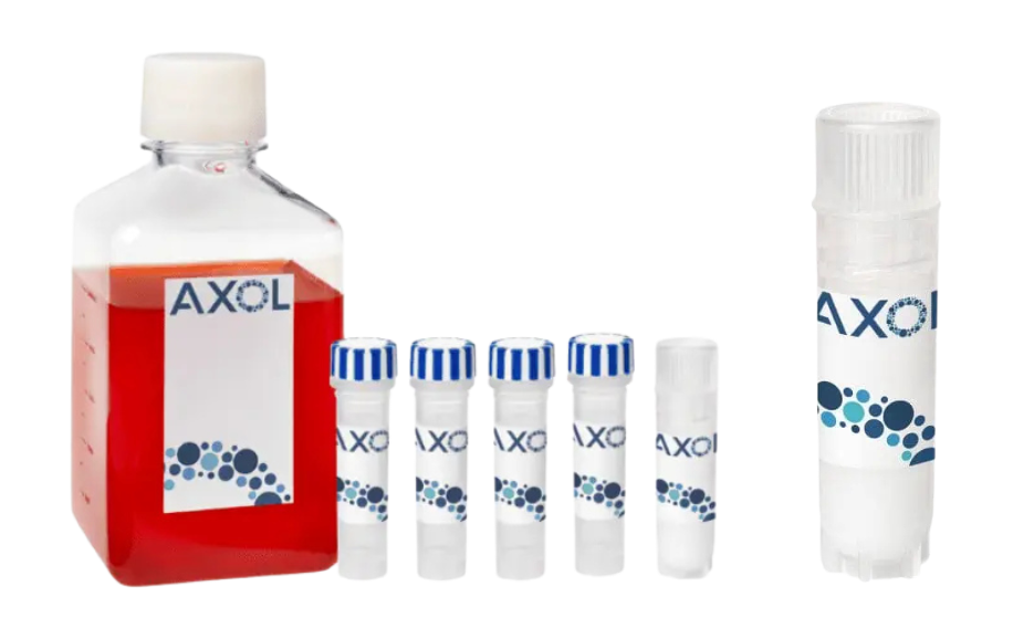曼博生物代理iPSC衍生细胞axoCells