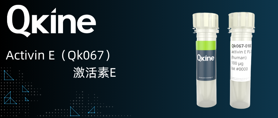 Qkine细胞因子 | Activin E（Qk067）激活素E