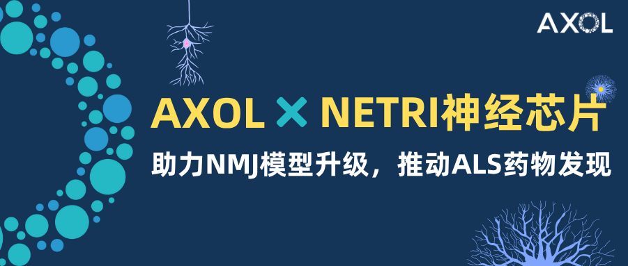 Axol×NETRI神经芯片 | 助力NMJ模型升级，推动ALS药物发现