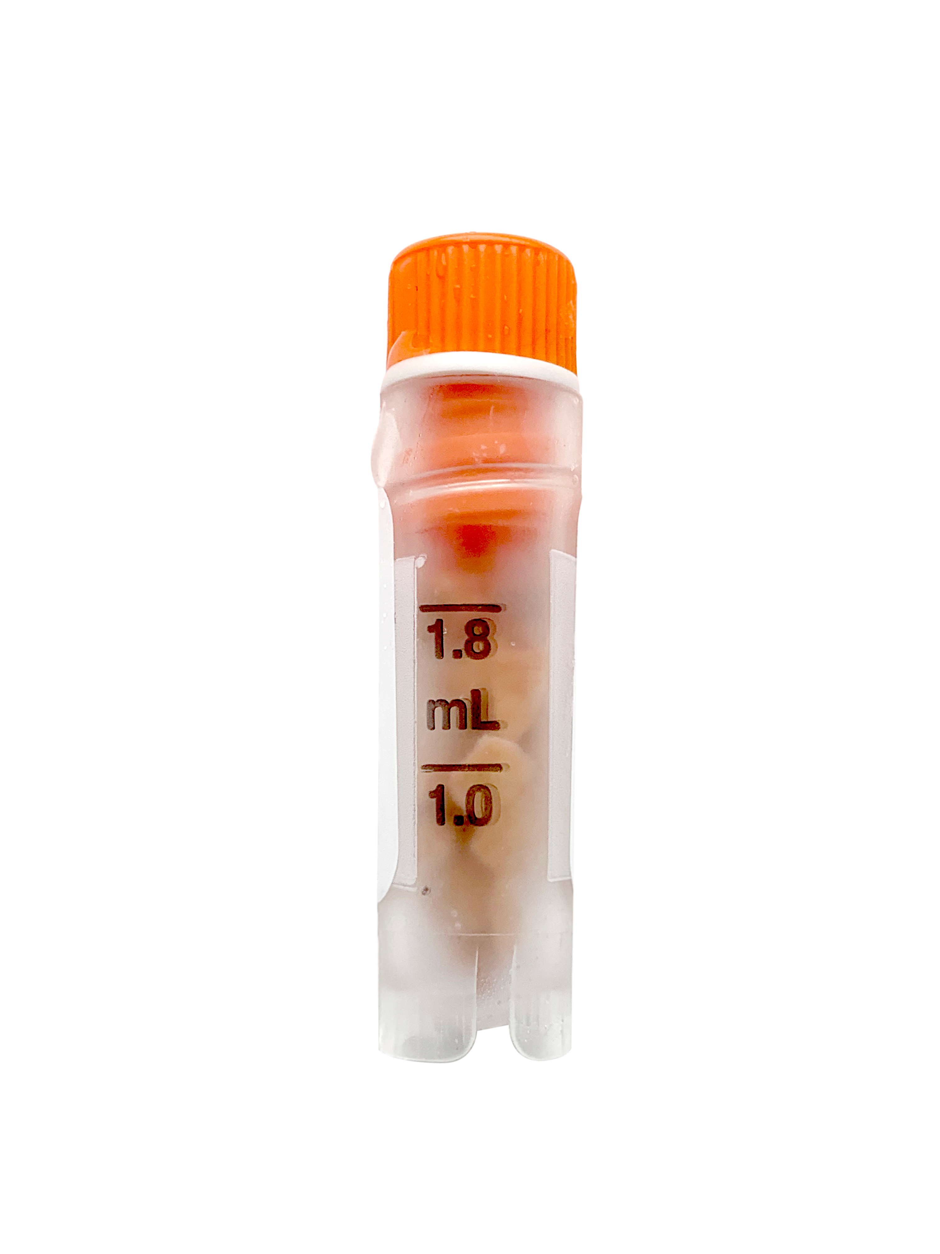 组织样本
