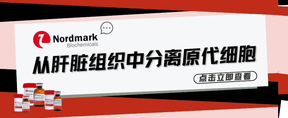 Nordmark胶原酶应用于从肝脏组织中分离原代细胞