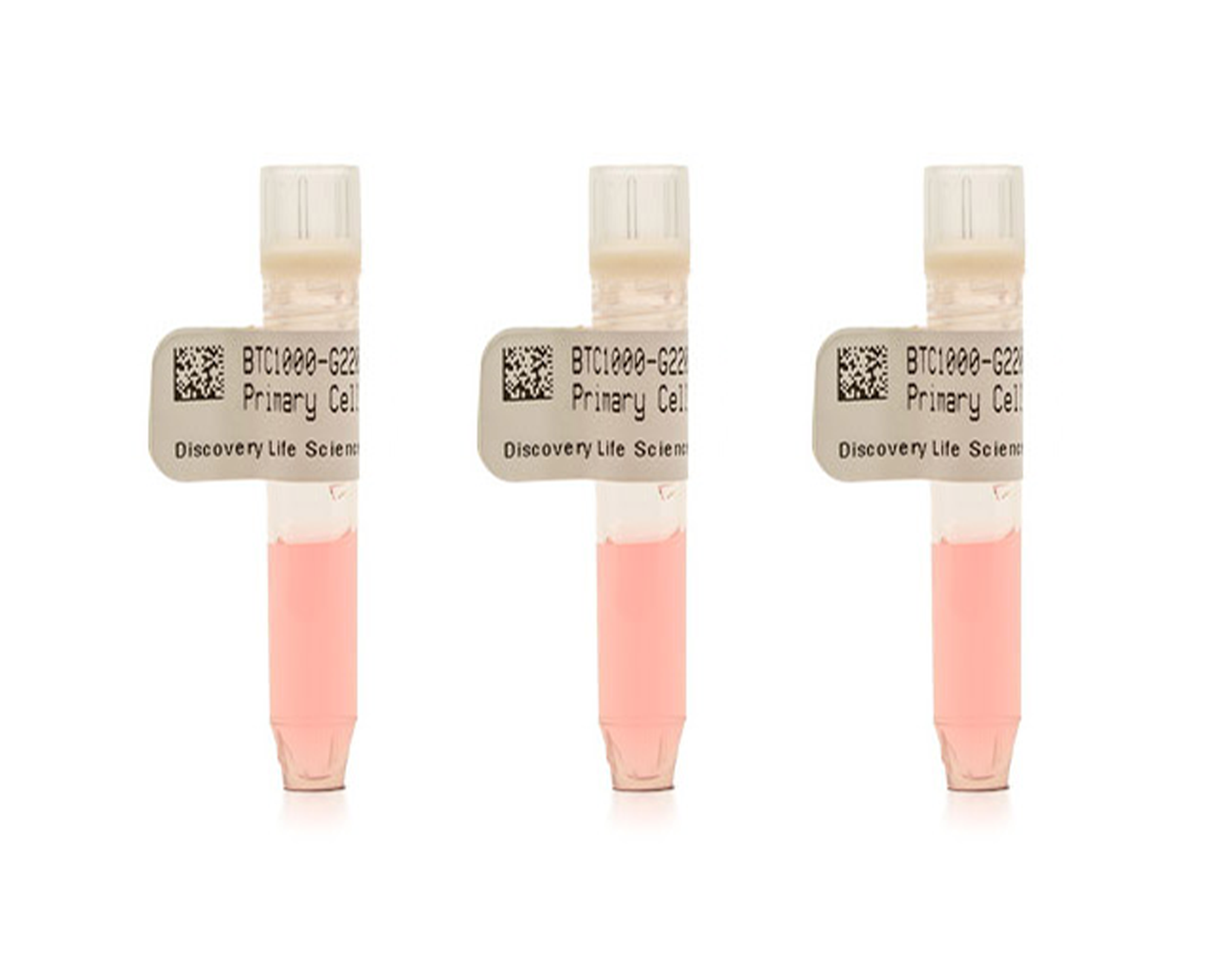生物样本系列