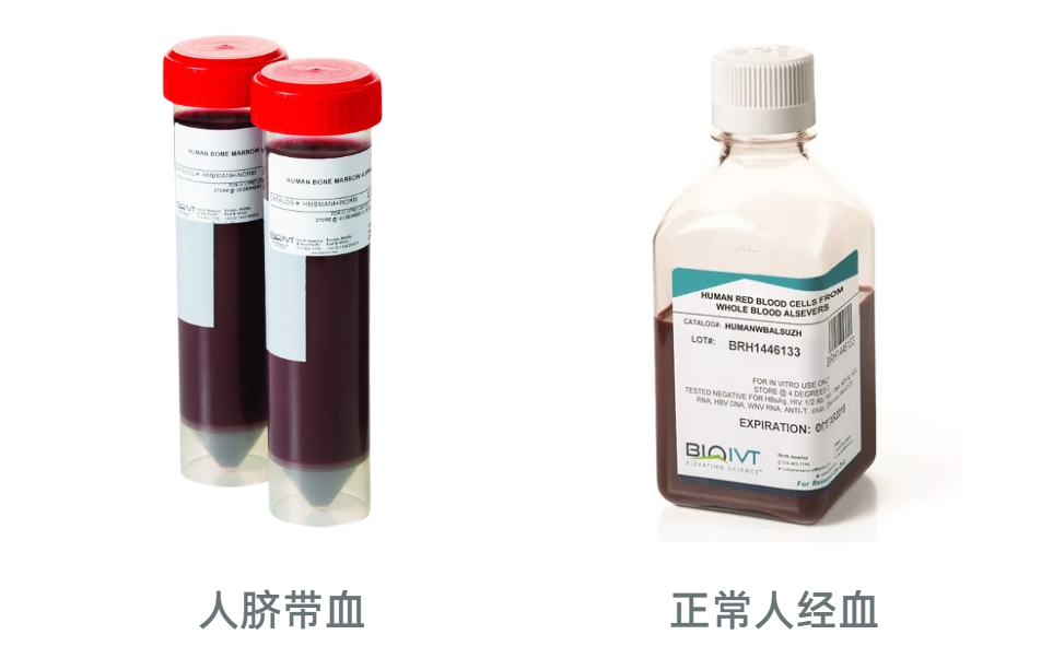 BIoIVT品牌脐带血和经血