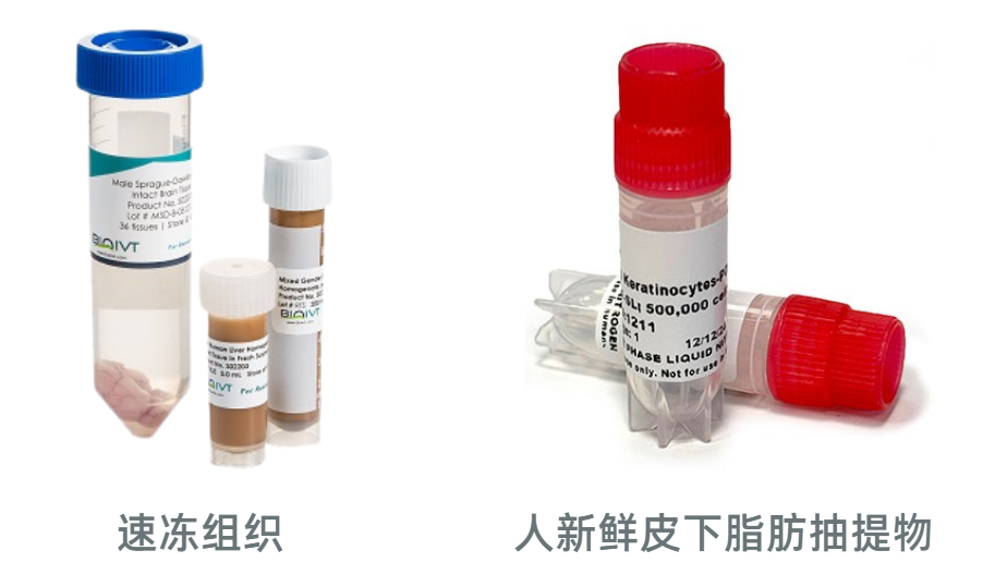 BioIVT提供速冻组织与人新鲜皮下脂肪抽提物 BioIVT提供速冻组织与人新鲜皮下脂肪抽提物