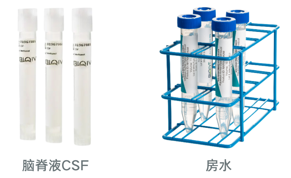 BioIVT提供脑脊液CSF和房水 BioIVT提供脑脊液CSF和房水