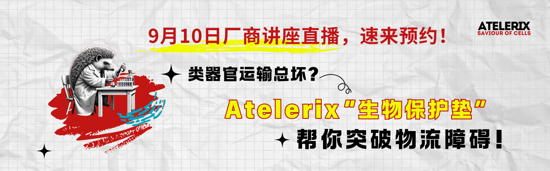 Atelerix厂商讲座