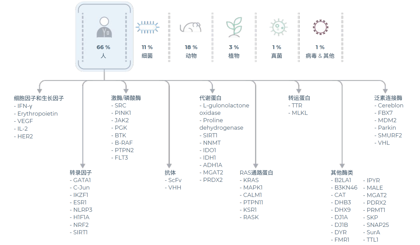nuclera无细胞蛋白表达系统已生产超过2000种蛋白质 nuclera无细胞蛋白表达系统已生产超过2000种蛋白质