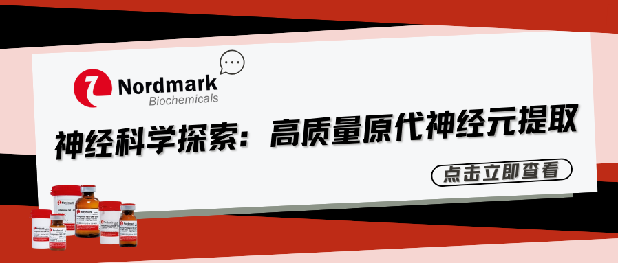 从高质量原代神经元开始，Nordmark胶原酶赋能神经科学探索