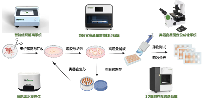类器官设备整体解决方案