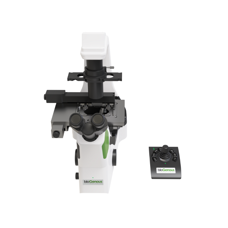 类器官星图定位系统