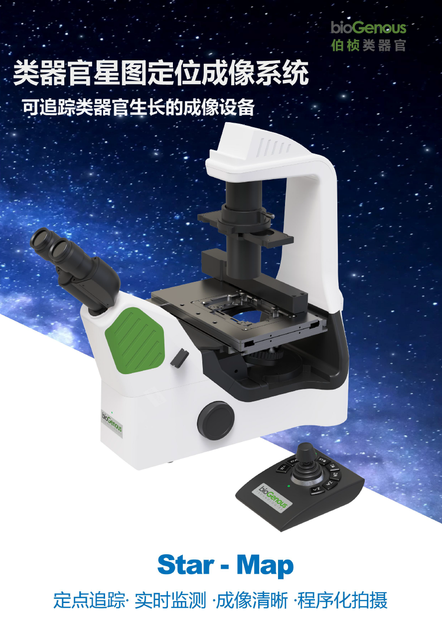 类器官星图定位成像系统