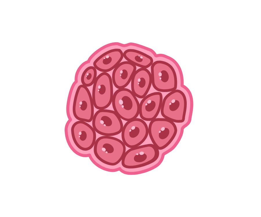 肿瘤(类器官)芯片