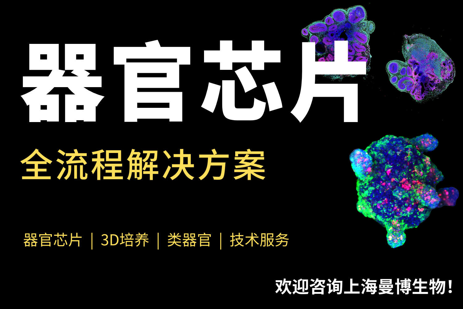 器官芯片整体解决方案册