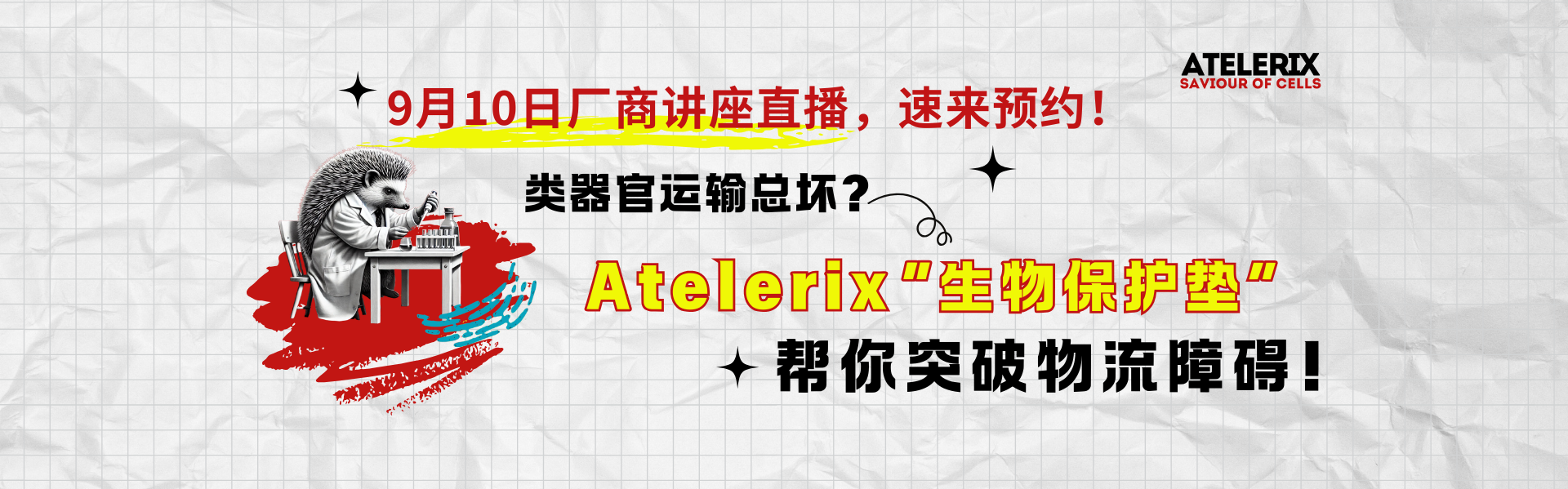 Atelerix厂商讲座