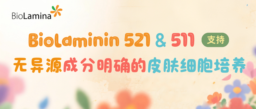 Biolaminin 521和511支持无异源成分明确的皮肤细胞培养