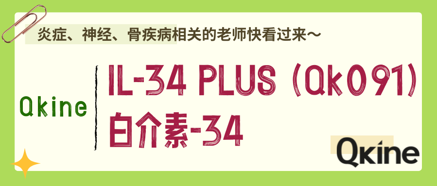 Qkine细胞因子｜IL-34 PLUS（Qk091）白介素-34