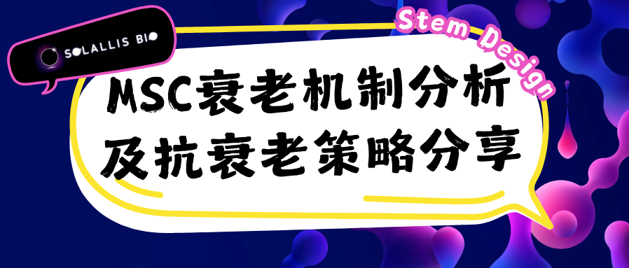 MSC间充质干细胞衰老机制分析及抗衰老策略分享