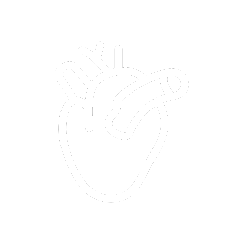 3D类器官/器官芯片