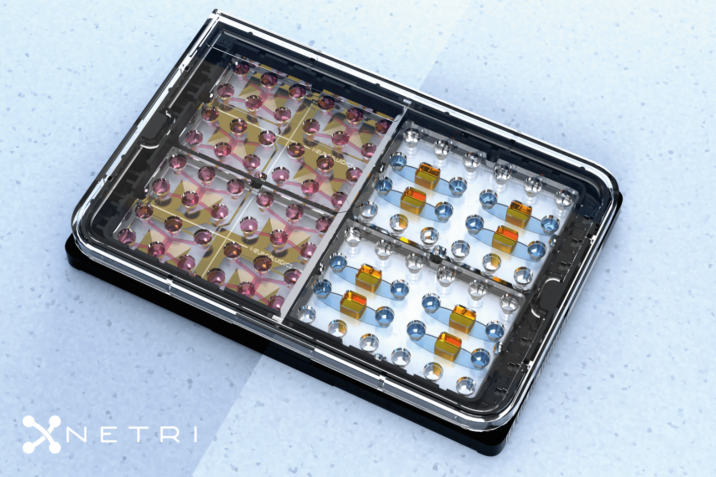 NETRI神经芯片