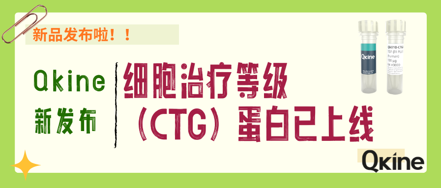 新品发布｜Qkine细胞治疗等级（CTG）蛋白上线！