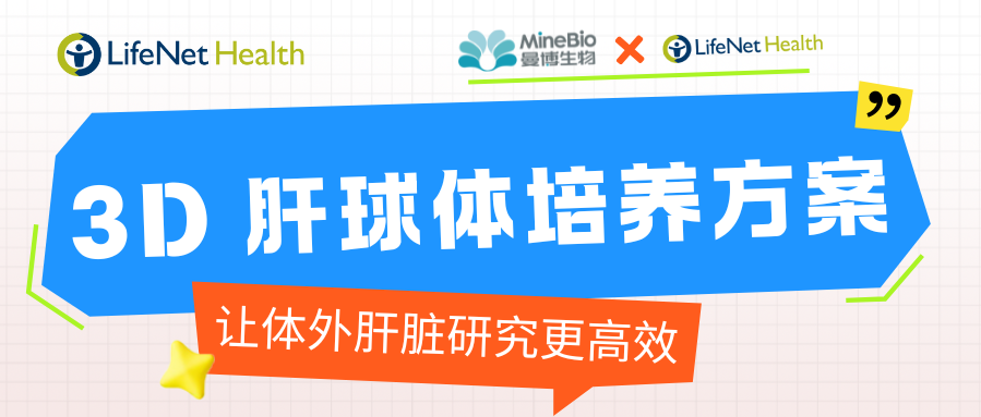 LifeNet Health｜3D肝球体培养方案