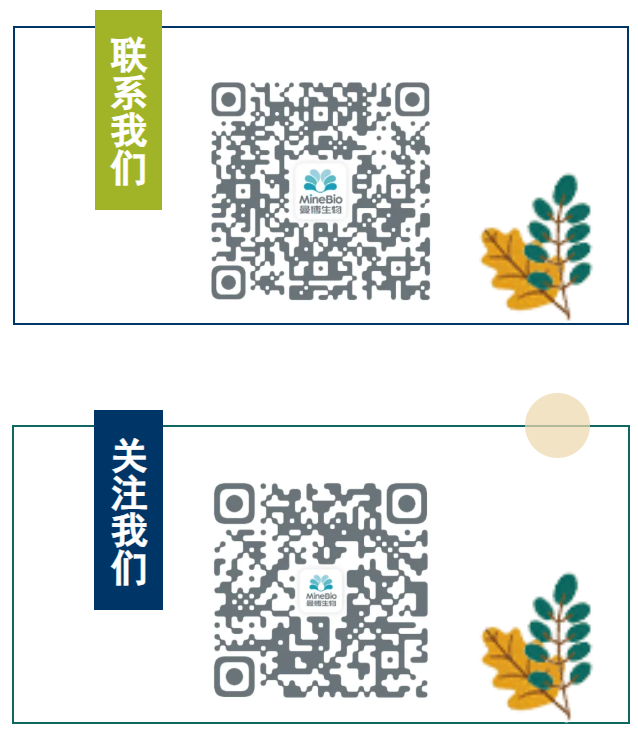 咨询LifeNet人原代肝细胞,欢迎咨询上海曼博生物 咨询LifeNet人原代肝细胞,欢迎咨询上海曼博生物