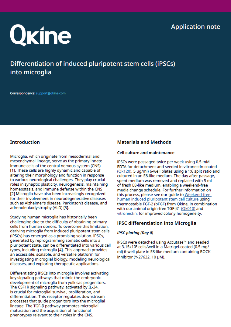 Qkine iPSC分化为小胶质细胞的实验方案