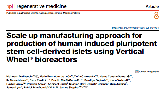 生物反应器技术可实现产胰岛素的干细胞衍生胰岛的规模化生产 生物反应器技术可实现产胰岛素的干细胞衍生胰岛的规模化生产