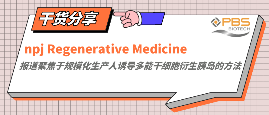 npj Regenerative Medicine | 报道聚焦于规模化生产人诱导多能干细胞衍生