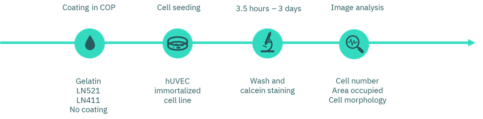 涂层选择的实验流程图