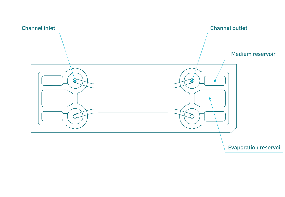 Be-Flow器官芯片的示意图