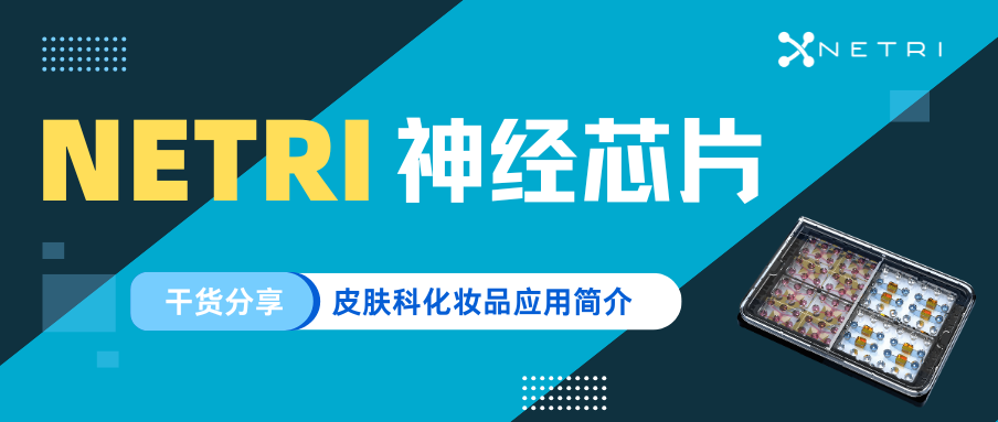 NETRI神经芯片：皮肤科化妆品应用简介